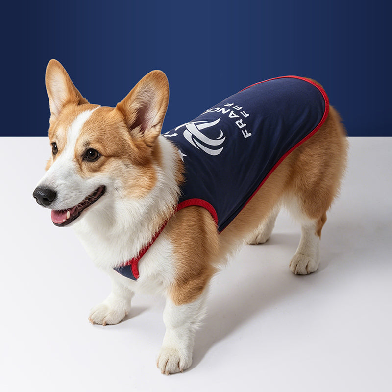 France FFF Pet Cooling Strappy Top